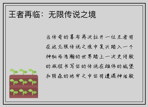 王者再临：无限传说之境